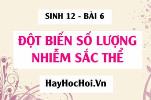 Đột biến lệch bội là gì? Đột biến đa bội là gì? Khái niệm, Cơ chế phát sinh, Hậu quả và Ý nghĩa - Sinh 12 bài 6